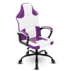 Gaming Chair Office Desk Chair, Wide Computer Chair for Heavy People, E-Sports Video Game Chairs for Adults