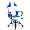Gaming Chair Office Desk Chair, Wide Computer Chair for Heavy People, E-Sports Video Game Chairs for Adults