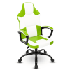 Gaming Chair Office Desk Chair, Wide Computer Chair for Heavy People, E-Sports Video Game Chairs for Adults