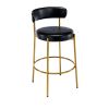 COOLMORE Bar Stools Industrial Pub Barstools with Back and Footrest, Modern Armless Bar Height Stool Chairs Set of 2